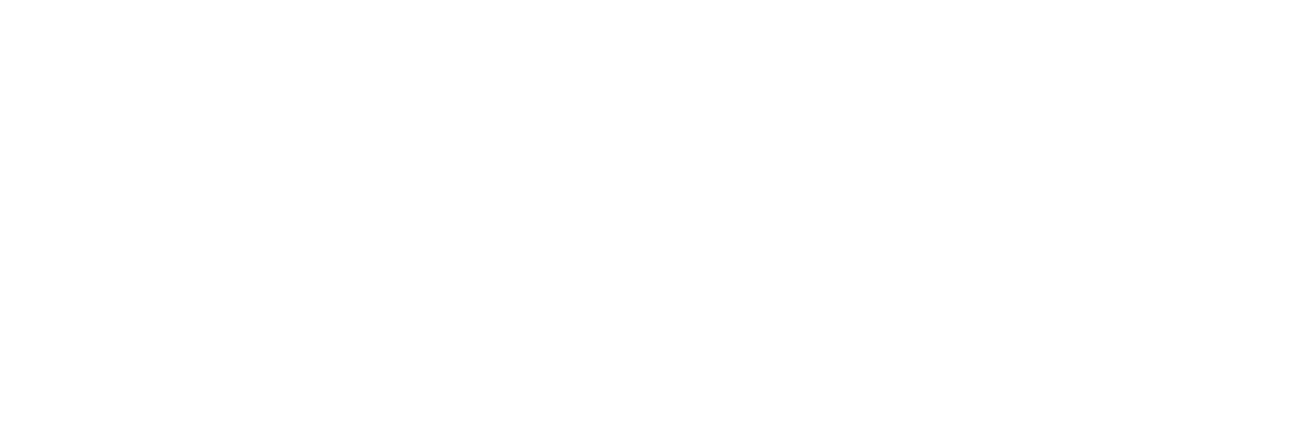 NSEA logo